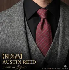 AUSTIN REED 総柄 レッド ホワイト ロープ ストライプ ネクタイのサムネイル