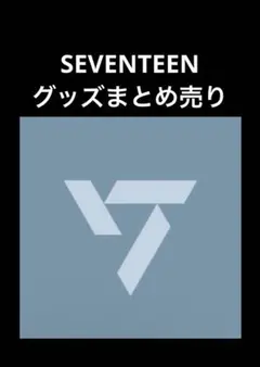 SEVENTEEN ドギョム トレカ7枚+カード1枚 まとめ売り - メルカリ