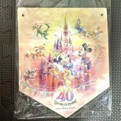 ディズニー 40周年記念 プレート - メルカリ