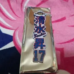 東京ヤクルトスワローズ 清水昇 ラメキーホルダー