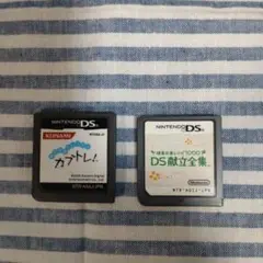 ニンテンドーDS ソフト 2本セット
