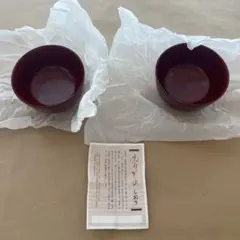 Item thumbnail for item 282e8f24-45d4-415d-bd7c-a7a74495fa2f