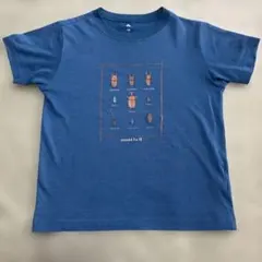 モンベル　半袖　Tシャツ　虫　昆虫　クワガタ