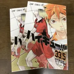 劇場版 ハイキュー ゴミ捨て場の決戦 入場特典 第7弾 33.5巻