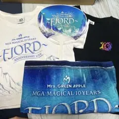 FJORD4点セットTシャツ2枚、タオル、うちわ