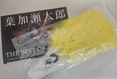 2025年最新】葉加瀬太郎 キーホルダーの人気アイテム - メルカリ