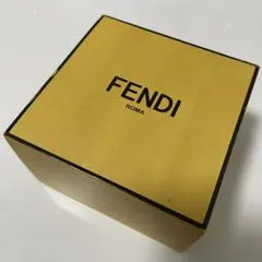 FENDI ピアス　箱付きのサムネイル