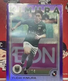 Item thumbnail for item 14e8ff67-3ed6-4fbb-94bb-29211fb102c1