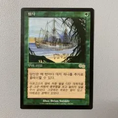 2026年最新】MTG 踏査の人気アイテム - メルカリ
