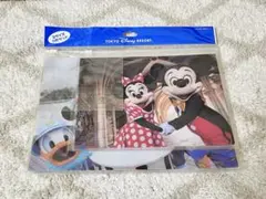 ディズニー ファスナー付きケース 2枚セット ミッキー ミニー ドナルド 等