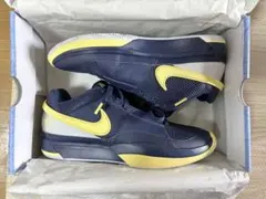 Item thumbnail for item 2f8138f6-5f4e-4256-94a0-f5c108f24186