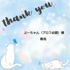 ぶーちゃん（プロフ必読）様 リクエスト 2点 まとめ商品