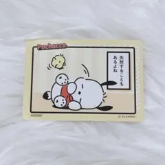 サンリオ コレクターズカードプラス ポチャッコ