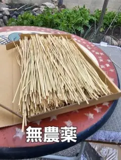 Item thumbnail for item 2c6153d7-0cc2-442e-aeaf-6c01ac9d34d8