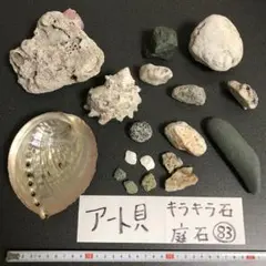 貝と石 18点セット 貝殻 白い貝 白い石 キラキラ レインボー 管理83