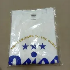 新品☆ウカスカジー Tシャツ No.12 - メルカリ