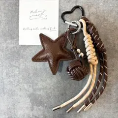 じゃらじゃらキーホルダー♡春 新生活 バッグチャーム ほし パラコード