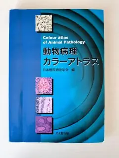 2026年最新】カラーアトラス 病理の人気アイテム - メルカリ