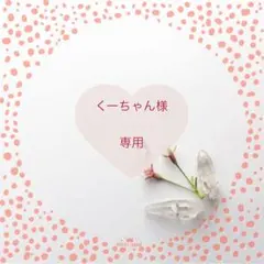 くーちゃん様 リクエスト 2点 まとめ商品