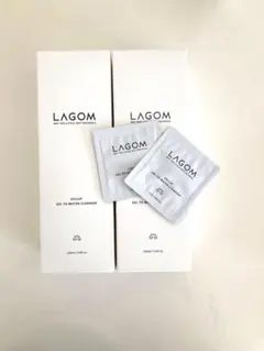 Item thumbnail for item 866f4502-20d0-499b-b9e8-3bc731565cbf