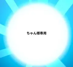 ちゃん様専用