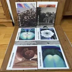 ジオ様 リクエスト 2点 まとめ商品