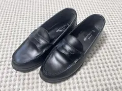 Item thumbnail for item 85e1640e-06dc-463e-b15f-a60bed4adb74