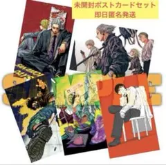 サカモトデイズ サカデイ 台湾 特典 ポラロイドカード 南雲 17点 サカモトデイズ サカデイ 台湾 特典 ポラロイドカード 南雲 17点