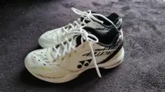 Item thumbnail for item d8fedfb6-1ada-423b-a4c2-aee97614430e