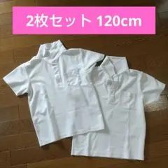 ポロシャツ 120cm 2枚セット