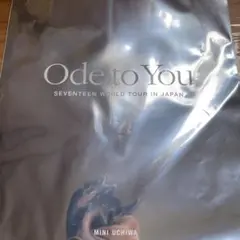 SEVENTEEN スングァン ミニうちわ