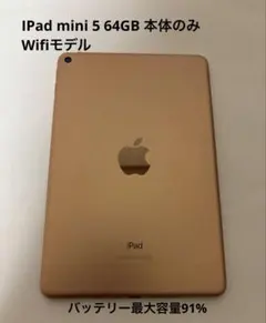 iPad mini 7.9インチ 第5世代 Wi-Fi 64GB ゴールド