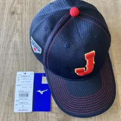 帽子 応援グッズ