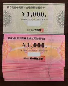 ビックカメラ&コジマ 株主優待券 19000円分