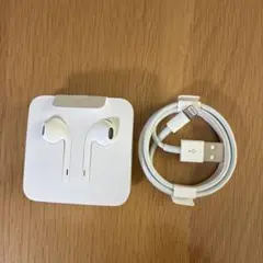 Apple EarPodsとUSB充電ケーブル