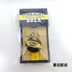 こちすけ様 リクエスト 2点 まとめ商品