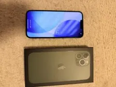 iPhone13 Promax 256GB アルパイングリーン