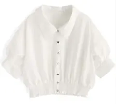 Item thumbnail for item 5bfa5257-820f-4cd5-86b1-99799bf8c74e