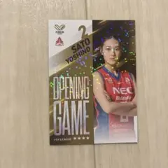 NECレッドロケッツ 佐藤淑乃　トレカ　Vコレ