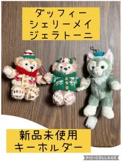 本日値下げ　VeryMerrySnowtime2015 ダッフィー　シェリーメイ