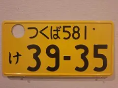 観賞用 普通車 ナンバープレート つくばナンバー 1枚 - メルカリ