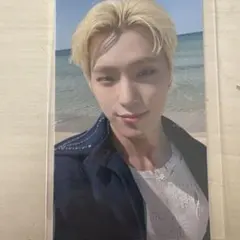 FML トレカ ディノ 来場者限定 会場限定 東京ドーム