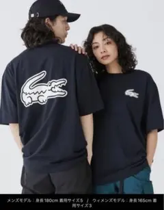 新品】LACOSTE Tシャツ サイズ4 黒 - メルカリ