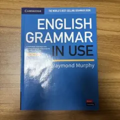 グラマーインユース