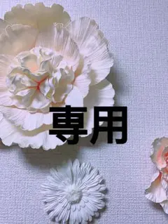 専用