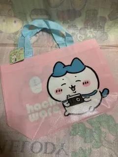 Item thumbnail for item 6bd616c7-60ba-4c39-bc2a-4776853efe21