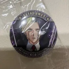 缶バッジ　マッシュル　レイン エイムズ　未使用