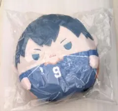ハイキュー！！　くじメイト　ぬいくじ　ふわコロりん　Msize　C賞　影山飛雄