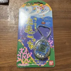 未開封】海で発見!!たまごっちクリアブルー 当時物 BANDAI レトロ玩具