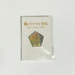 2025年最新】嵐 ワクワク学校 バッチの人気アイテム - メルカリ